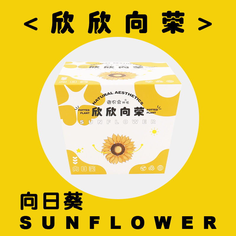 번성 (해바라기)