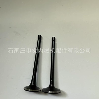 Valves and components intake valve 8941332751