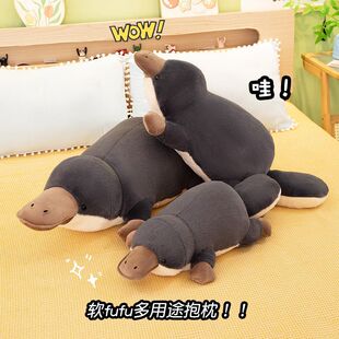 ����W�t������ë�q���ж���;�����ɐ���żŮ�������Y�����l