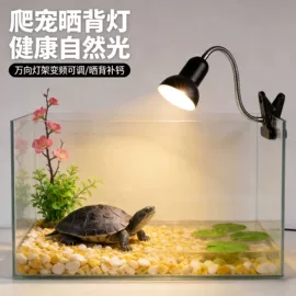 水族照明设备;宠物周边用品