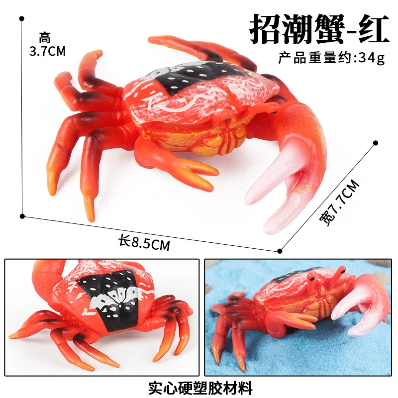 Модель crab/crab king crab трехточечная, имитация реальной жизни морского животного, открытая спина, искусственный рот, детские познавательные игрушки-украшения