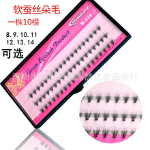 MINGJIE����Ժһ��10����ë�Nֲ�޽ӆθ��Q�z��ë��Ȼ��ܛ����