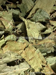 ��ș�Ĳ����~��ș���������Ʋ��~�鲼�~�Z���~�����~���鲼��~