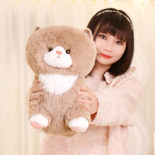 Cute Cartoon Cat Doll Plush Toy Kitten Doll Doll Creative Rag Doll Birthday Gift Wholesale