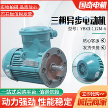 YBX3-112M-4三相异步电动机 4KW隔爆型立卧式三级能效防爆电机