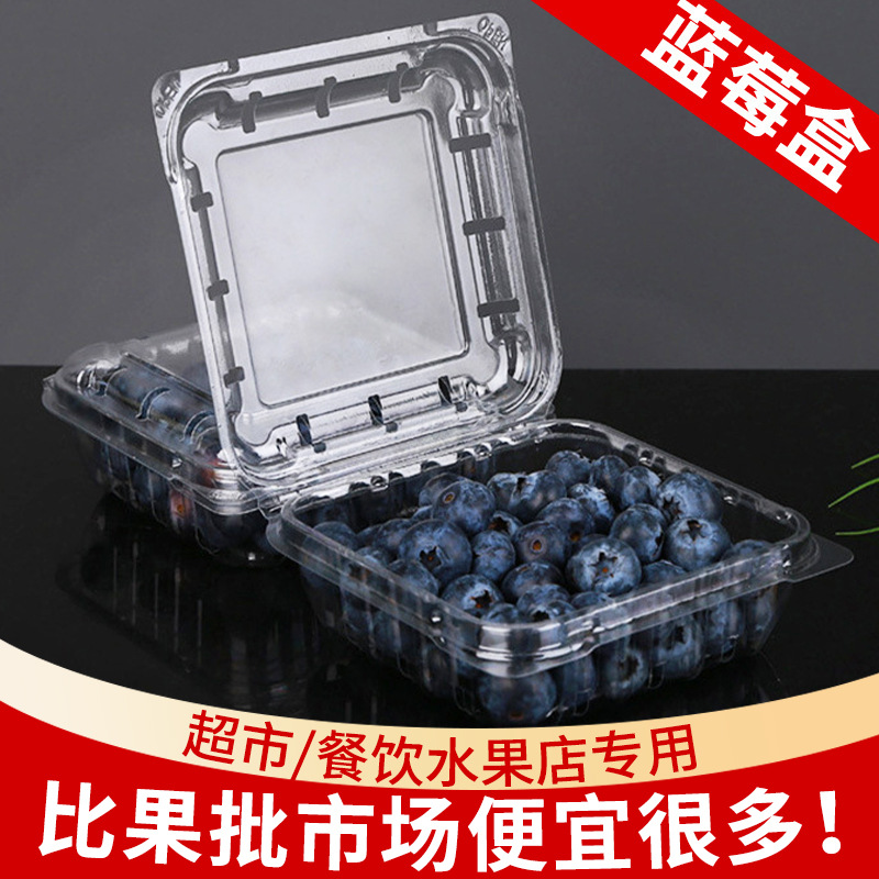 厂家一次性水果包装盒125克带孔超市桑葚蓝莓盒pet透明包装盒批发