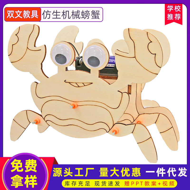 Experimento científico cangrejo robot ocho pies Niños DIY materiales hechos a mano ciencia y educación frontera tecnología producción pequeña producción