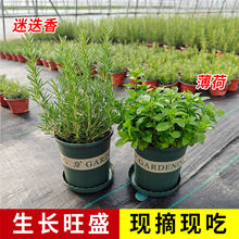 Եļÿʳ_ݽMţKGֲ՚