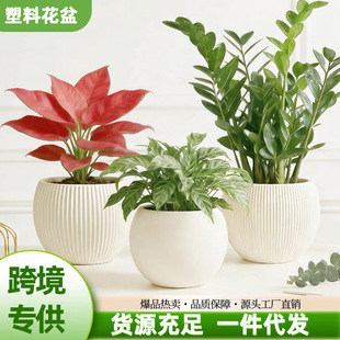 �羳��̬F؛�¿��������ϻ����װ�ɫ�ٴ�s�L���誚�����b