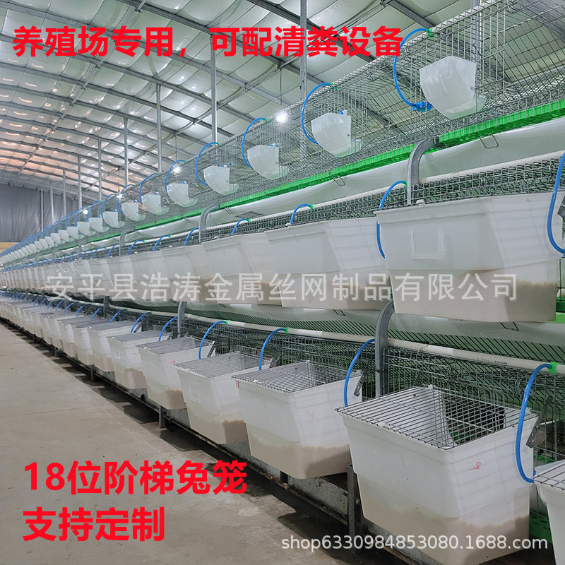 兔笼子养殖场专用母兔生产繁殖笼新式自动清粪新型特大号兔窝兔笼