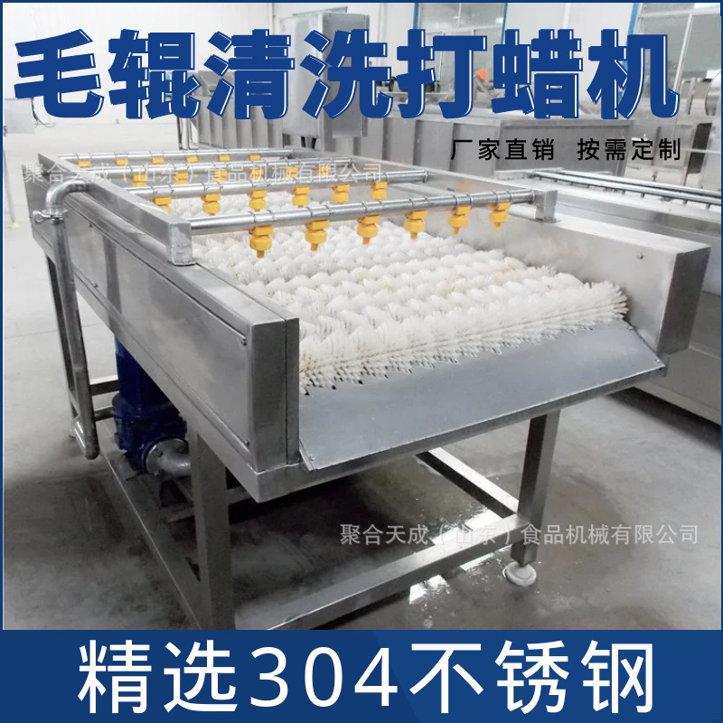 商用海蛎子生蚝毛辊清洗机 甘蔗清洗设备 多功能柑橘柠檬打蜡机