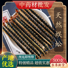 中药材国产红头蜈蚣官方正品长蜈蚣干蜈蚣大蜈蚣整条5条蜈蚣皮蜈