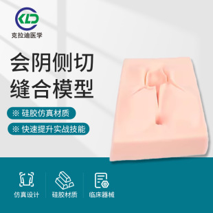 Medical Obstetrics and Gynecology Female Genital Model Suture Skills Training Vulva with Wound Suture Practice Module Ready for Sale
