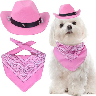 Cross-border Amazon Mexico Western cowboy hat birthday party hat sun protection hat mini pet hat