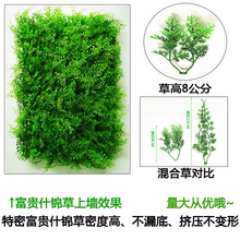 ˹ٲƤ컨b⹤̇Gֲ̨҃Ϸƺ