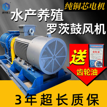 三叶罗茨鼓风机虾蟹养殖鱼塘增氧80型水产养殖罗茨风机