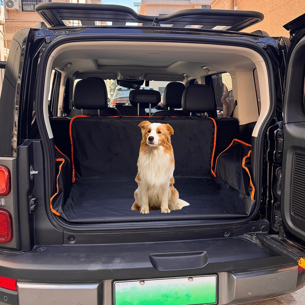블랙+오렌지 612