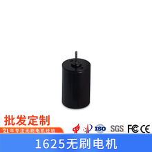 厂家定制1625微型直流无刷电机 医疗仪器 机器人马达 bldc motor