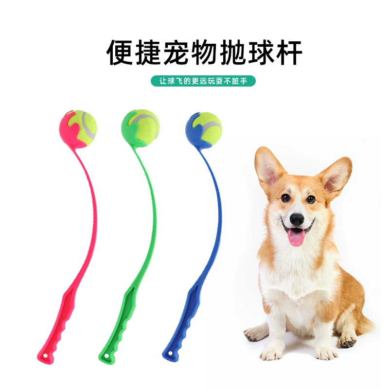 Домашние животные Бросок клюшки Собаки Тренировка Игрушки Броски Игрушки На открытом воздухе Теннис Тренировка Бросание Игрушки Оптовая продажа