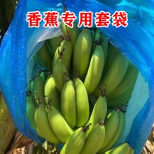 �㽶�״����o��������һ�w�������۽����o���^�����ش�