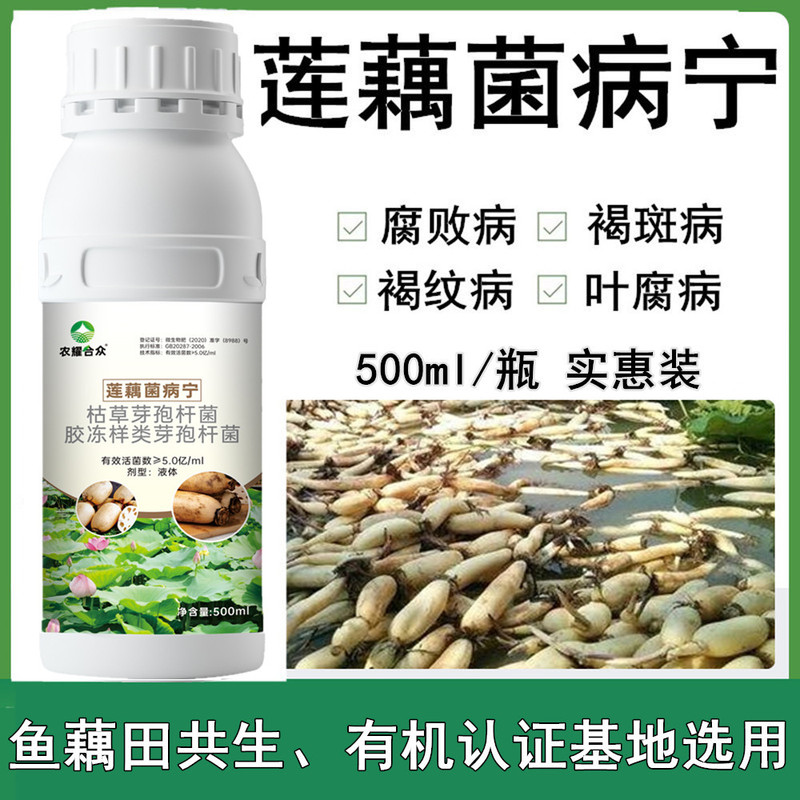 Special Fungicide for Lotus Root, Non-Pesticide for Rot, Black Heart, Spots, Yellow Leaves, Rotten Roots, and Consecutive Planting; Fertilizer Special Fungicide for Lotus Root, Non-Pesticide for Rot, Black Heart, Spots, Yellow Leaves, Rotten Roots, and Consecutive Planting; Fertilizer