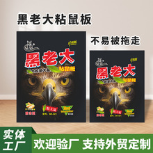 黑老大粘鼠板物业酒店仓库可折叠捕鼠粘板批量供货一次性老鼠贴