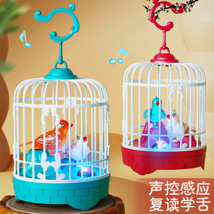 Bird Toy That Can Learn to Talk, Kidsren's Bird Cage Model, Baby 1 to 2 Years Old, 3 Boys, Xichen