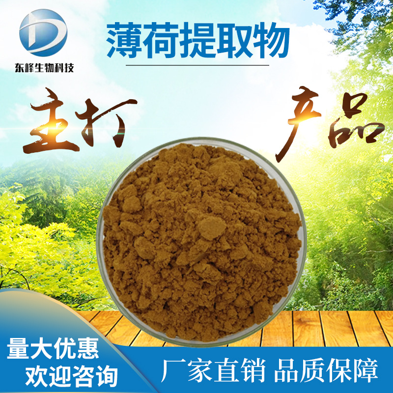 20:1薄荷提取物 包邮食品原料薄荷黄酮现货供应水溶性薄荷提取物