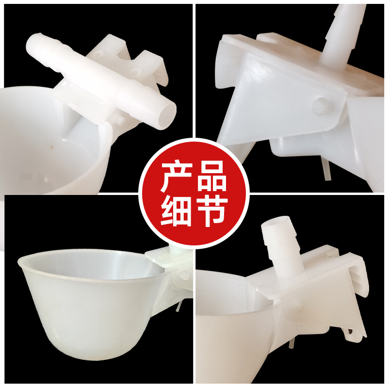 Tazón de agua de la paloma bebedor automático Loro Bird bebedor automático paloma caja de comida caja colgante bebedero