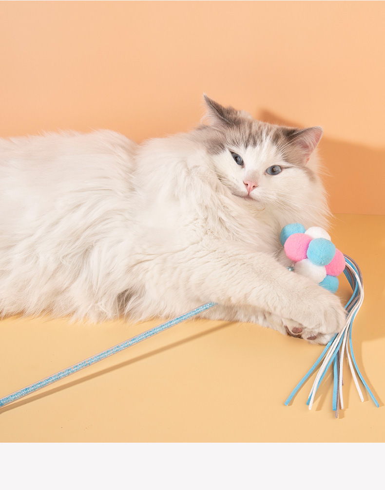 猫咪玩具逗猫杆逗猫棒 仙女彩色 猫咪玩具猫咪互动猫玩具猫猫用品详情9