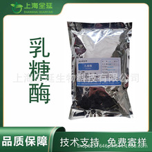 乳糖酶食品级β-半乳糖苷酶食品添加剂1万ALU/g酶制剂