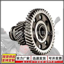 摩托车通用件;车身及附件;油泵、油嘴