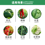 Американская файмеиши Дюпон Пурзун Хлорид бензамида капуста бриллиант мотыль