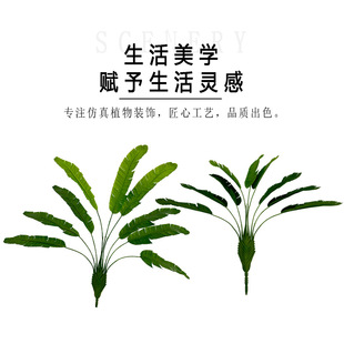 9^B˽ֲGֲԿ͏dҾbؔ[辰