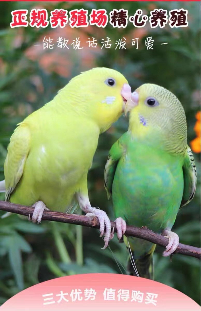 2651a366-00af-481d-9a99-90c6098668a4.jpe