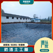 养殖防渗土工膜高密度聚乙烯PE膜沼气池黑膜垃圾填埋场防水土工布