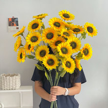 ��Ʒ�|���տ����ٻ��͏d�����[�O̫ꖻ������ɻ��b�ˇ�[��