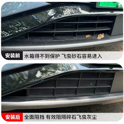 Front Grille Appearance Modification – Automobile anti-insect net