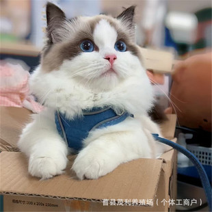 ���N��ż��؈���w���p��ż؈��Ę��ِ����ż����؈���̻�����Ů؈