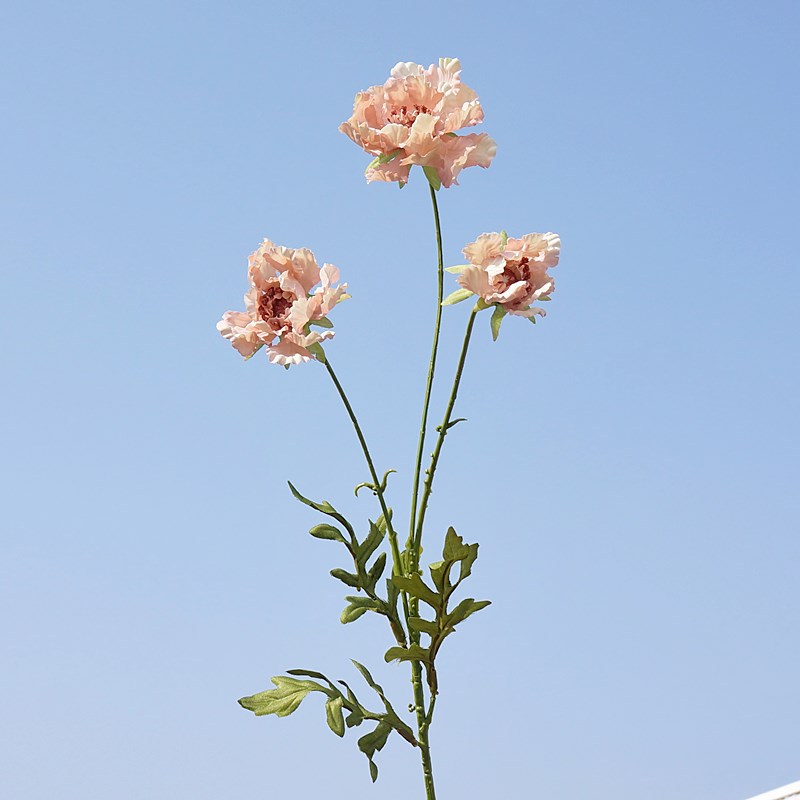 Light pink 032
