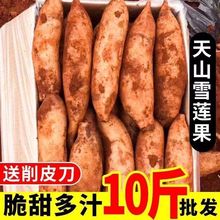 正宗云南天山雪莲果新鲜应季水果黄心现挖特级大果孕妇一整箱批发