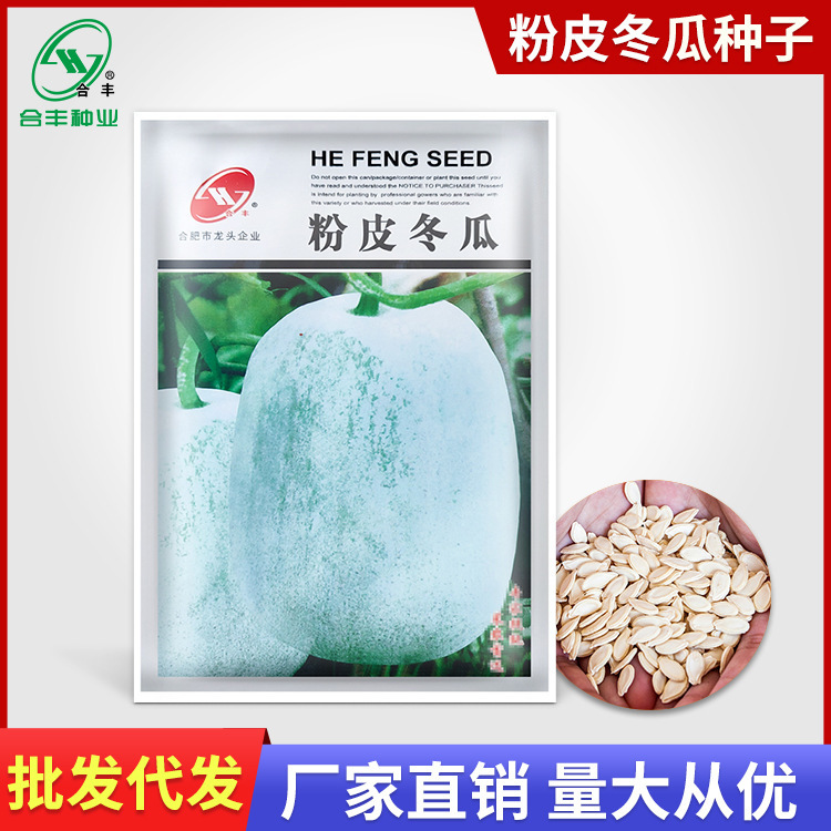Winter Melon Seeds with White and Green Skin, Small Winter Melon Seeds, Vegetable Seeds, Wholesale from Hefeng Seed Company
