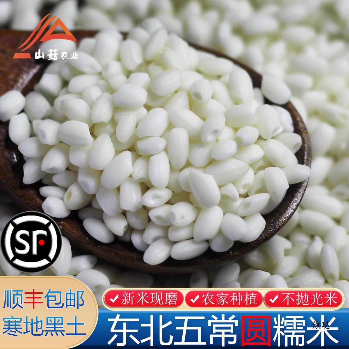 新米东北黑龙江五常圆糯米5斤新鲜纯白糯米江米酒酿包粽子饭团