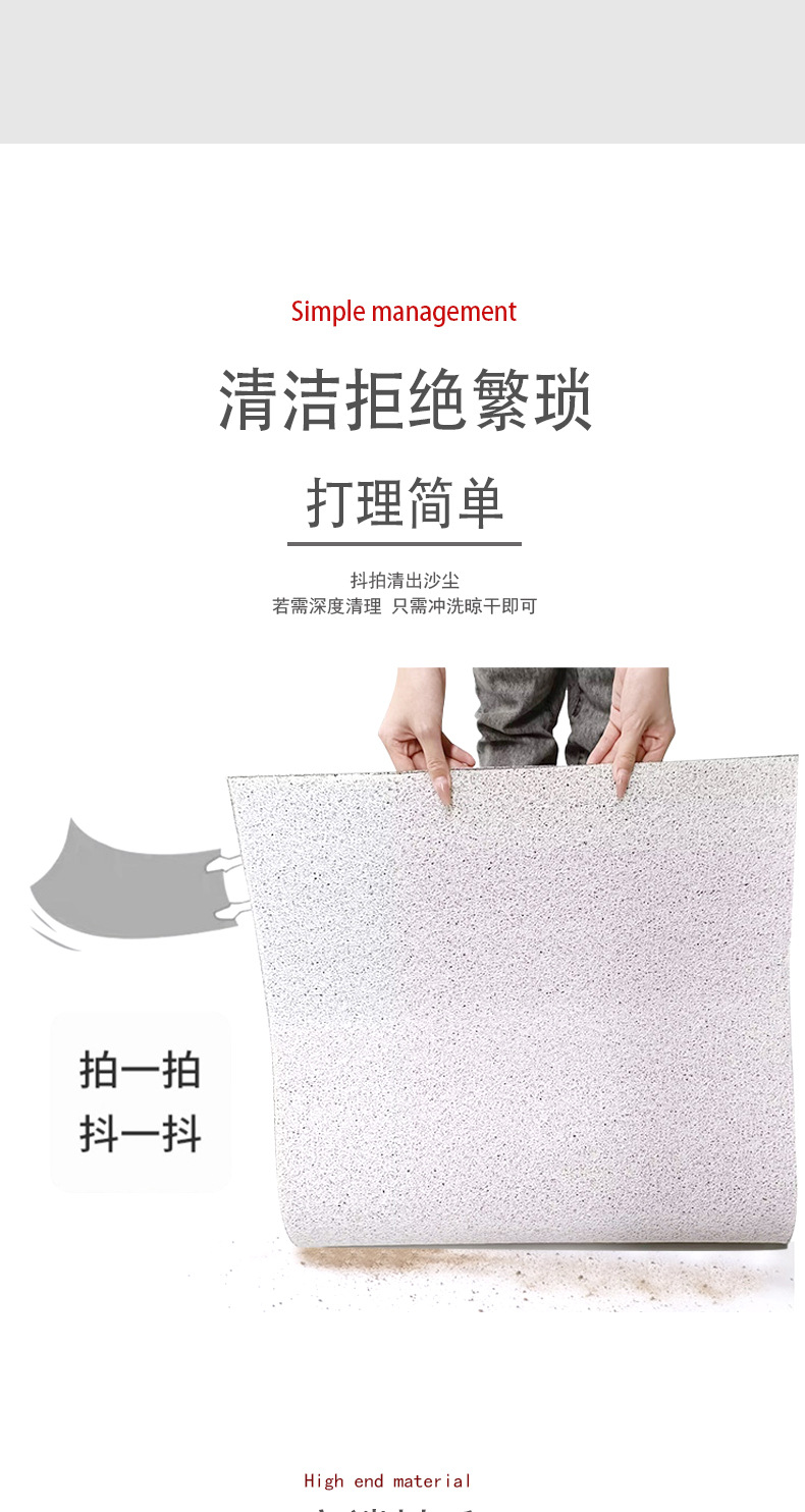 Entrance Silk Loop Floor Mat for Home Use, Water-Absorbent, Non-Slip Pvc Doormat, Dirt-Resistant, Washable, Can Be Cut to Size, Removes Dirt