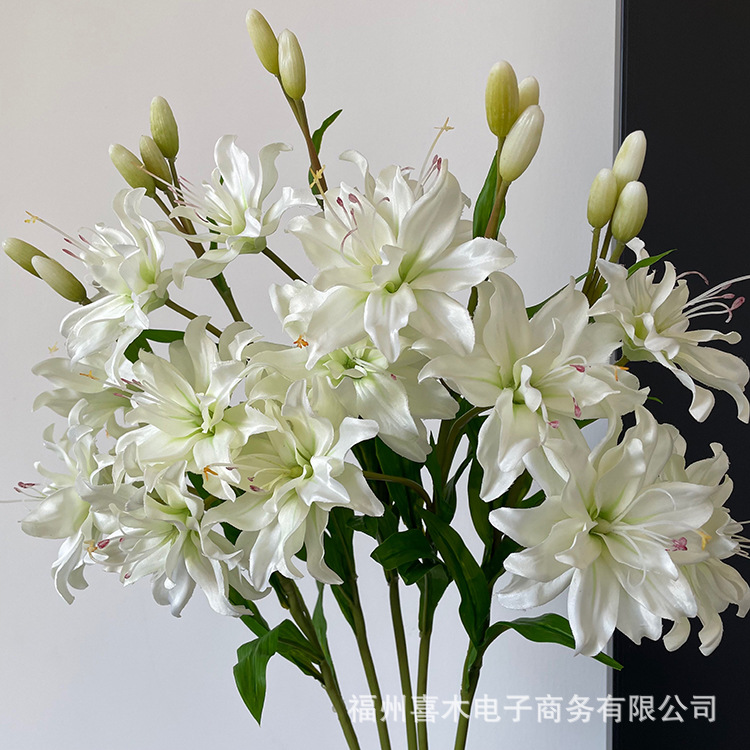 photo-output_1 5.JPG