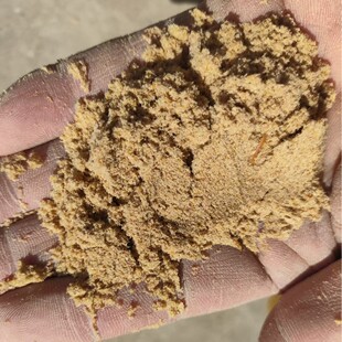 �ߜظ߉�ˮ����ë��