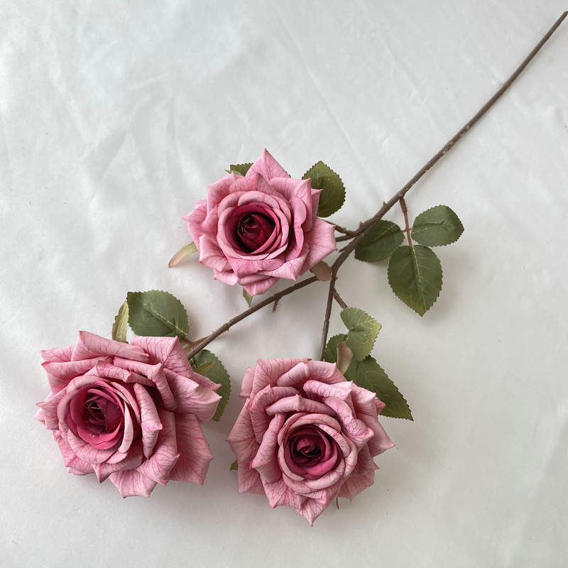 Rose rose
