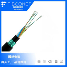 光缆 GYFTY53光纤光缆 非金属加强件 FRP 室外光缆