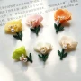 儿童女童新款可爱发夹