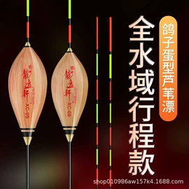 渔漂、浮标